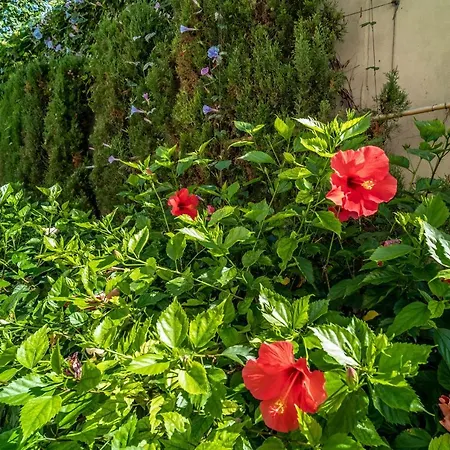 321 Heaven Guadalmansa Playa Lejlighed