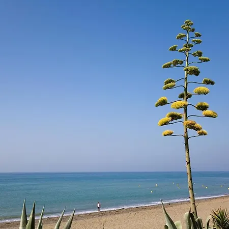 321 Heaven Guadalmansa Playa *