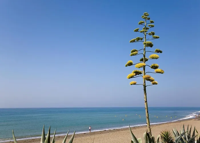 321 Heaven Guadalmansa Playa *